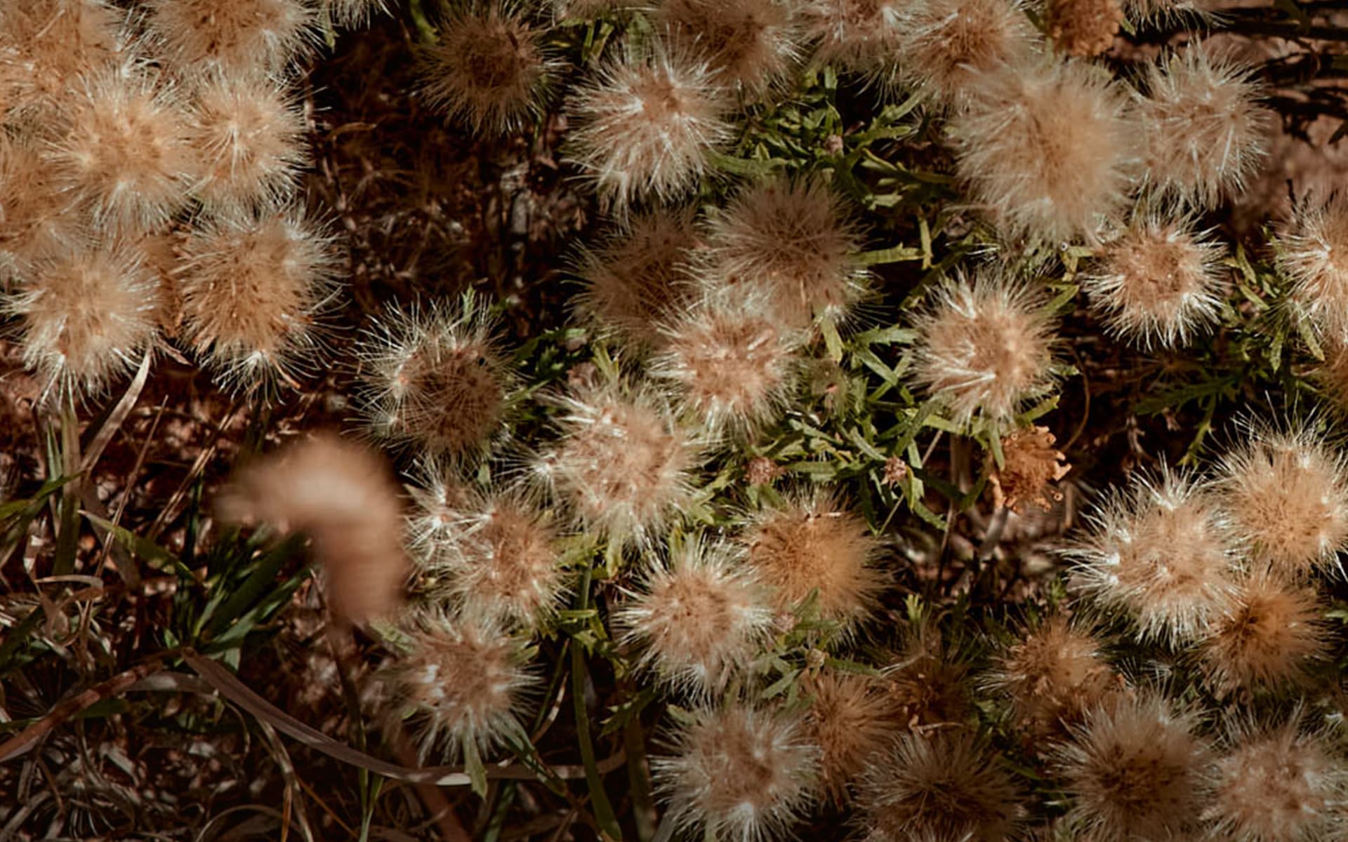 styles curated for you BANANA REPUBLIC Kuwait Official Store